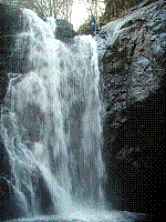 IMGP3764.JPG IMGP3764.JPG