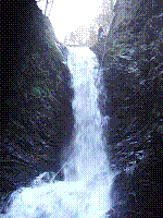 IMGP3784.JPG IMGP3784.JPG