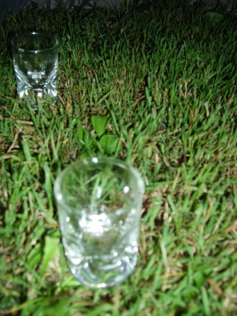 IMGP0380.JPG