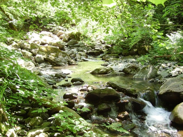 IMGP0454.JPG