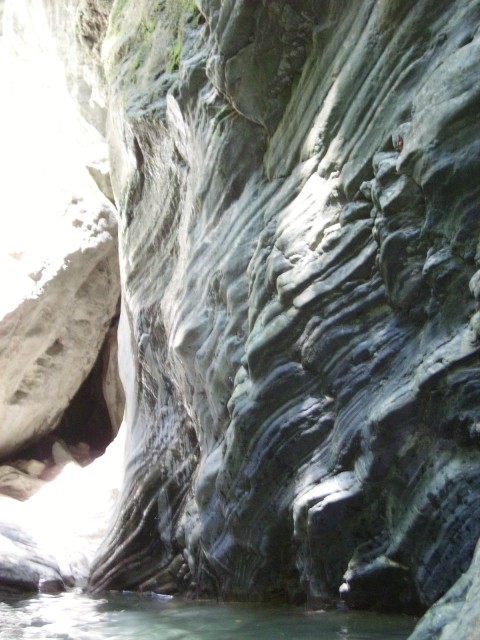 IMGP0511.JPG