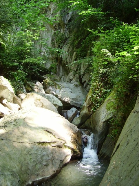 IMGP0516.JPG