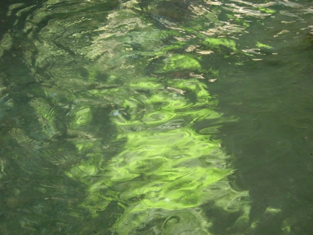 IMGP0519.JPG