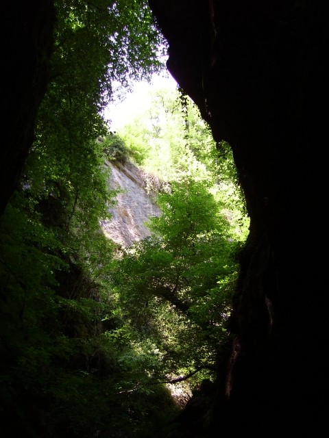 IMGP0549.JPG