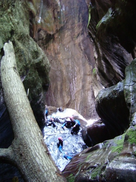 IMGP0560.JPG