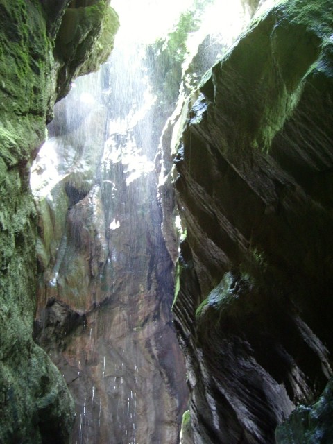 IMGP0570.JPG