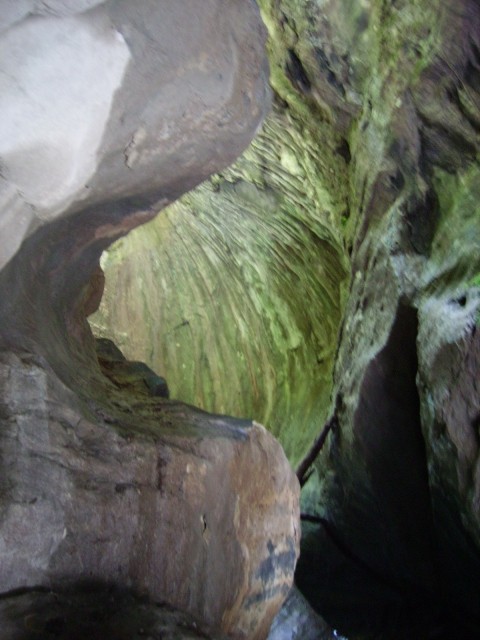 IMGP0601.JPG