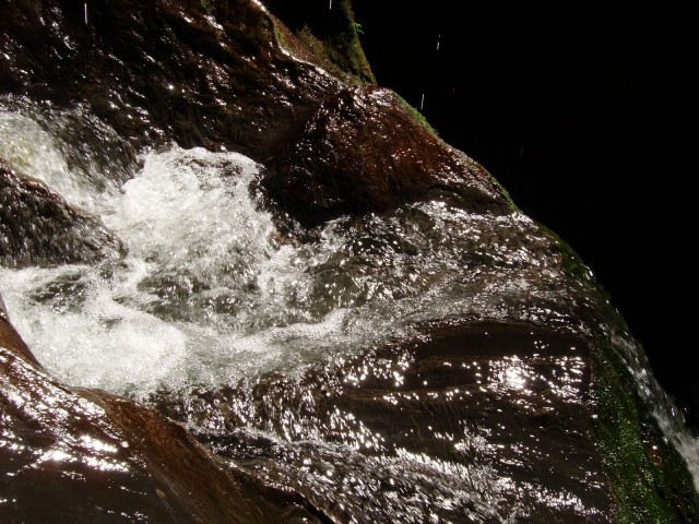 IMGP0615.JPG