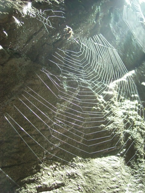 IMGP0646.JPG