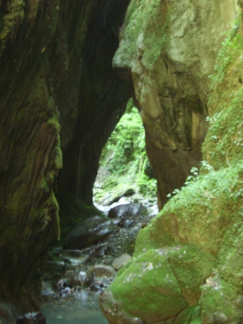 IMGP0658.JPG