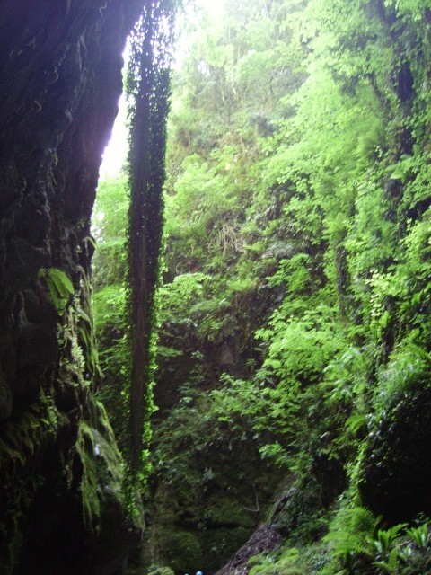 IMGP0670.JPG