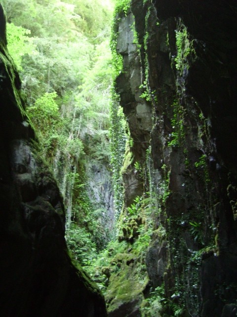 IMGP0698.JPG