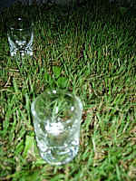 IMGP0380.JPG IMGP0380.JPG