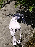 IMGP0396.JPG IMGP0396.JPG
