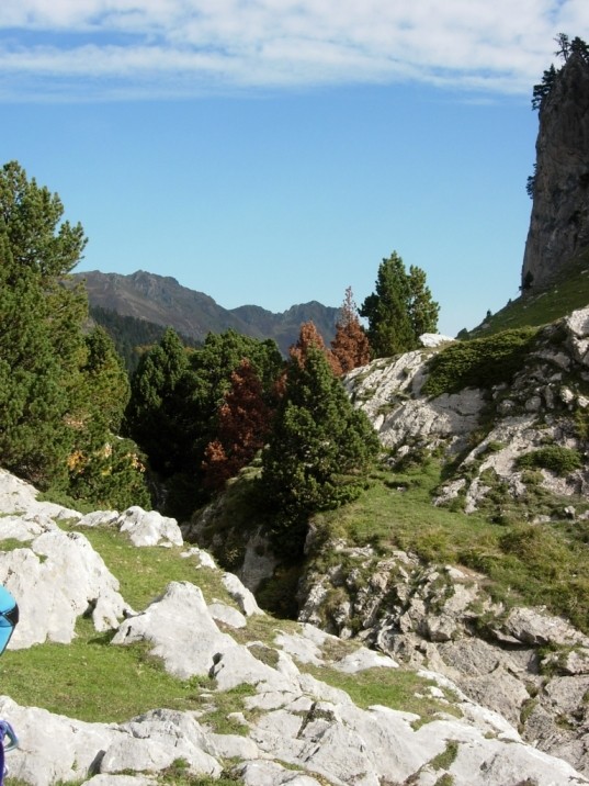 DSCN3101.JPG