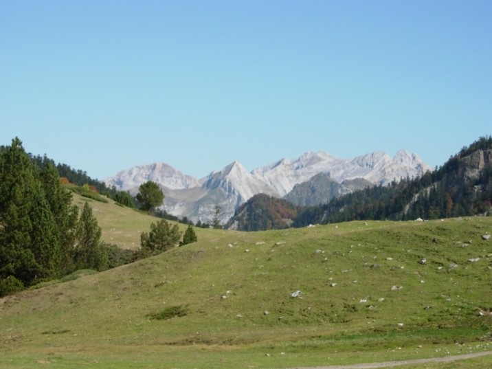DSCN3134.JPG