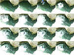 DSCN3054.JPG DSCN3054.JPG