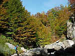 DSCN3082.JPG DSCN3082.JPG