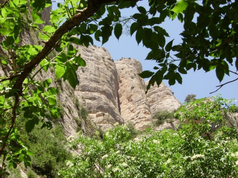 IMGP0112.JPG
