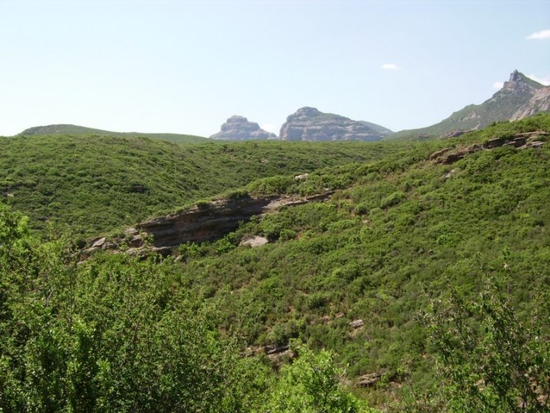 IMGP0141.JPG