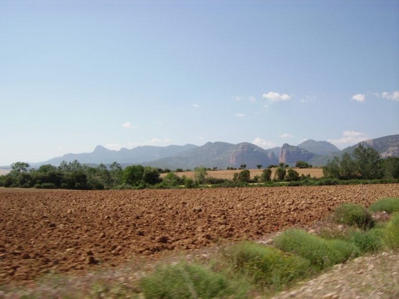 IMGP0156.JPG