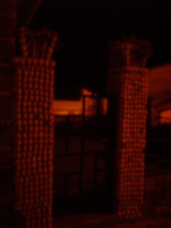 IMGP0205.JPG