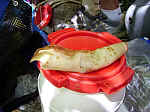 IMGP0087.JPG IMGP0087.JPG