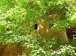 IMGP0107.JPG IMGP0107.JPG
