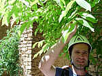 IMGP0108.JPG IMGP0108.JPG