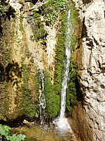 IMGP0113.JPG IMGP0113.JPG