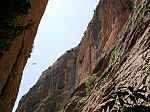 IMGP0132.JPG IMGP0132.JPG