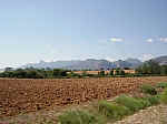 IMGP0156.JPG IMGP0156.JPG