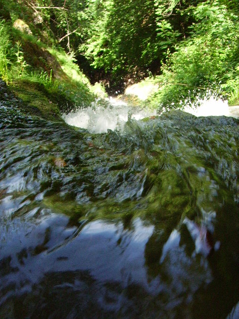 IMGP0751.JPG