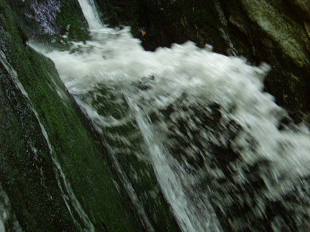 IMGP0780.JPG