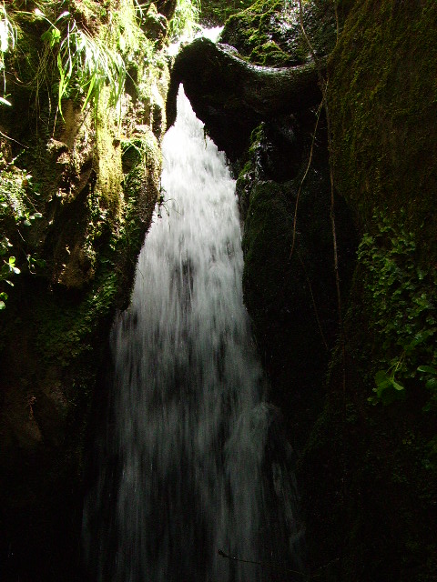 IMGP0795.JPG