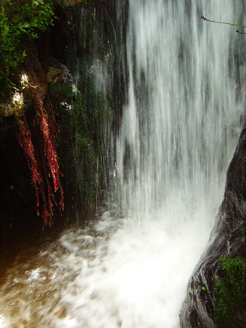 IMGP0796.JPG