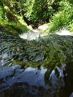 IMGP0751.JPG