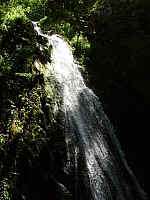 IMGP0774.JPG