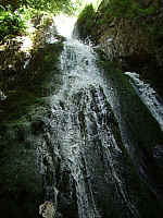 IMGP0778.JPG
