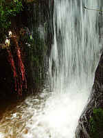 IMGP0796.JPG