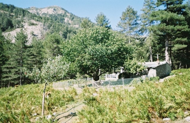 13sept londa30.jpg