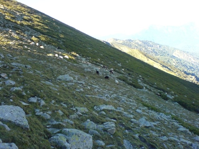 13sept petra piana12.JPG
