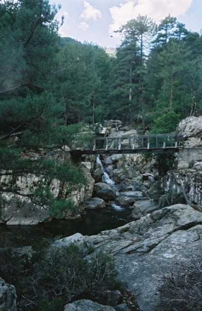 14sept petra piana01.jpg