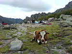 12sept petra piana12.JPG 12sept petra piana12.JPG