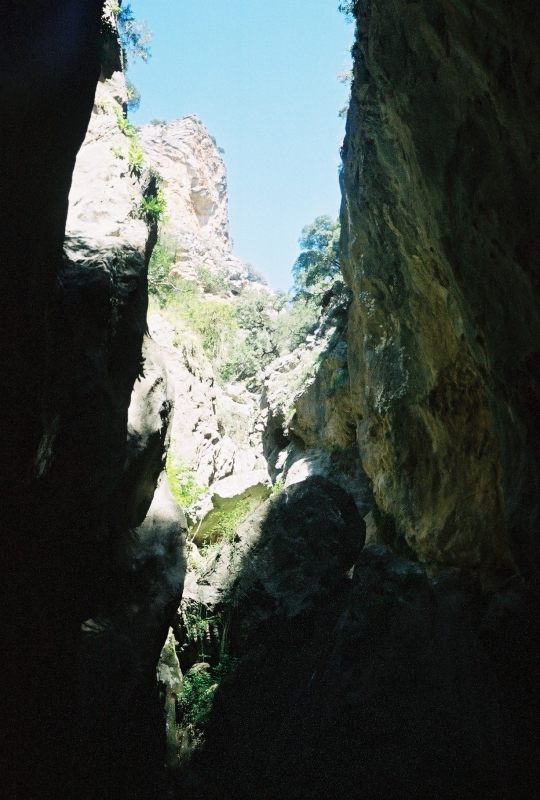 1arvi_FH000018.JPG