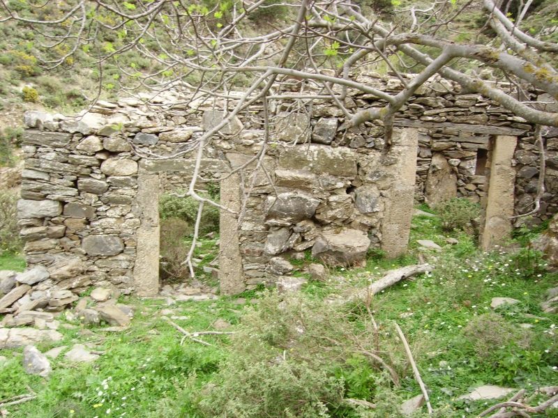 4kaviousou_IMGP0746.JPG
