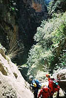 1arvi_FH000001.JPG 1arvi_FH000001.JPG