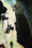 1arvi_FH000023.JPG 1arvi_FH000023.JPG