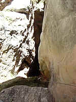 1arvi_IMGP0525.JPG 1arvi_IMGP0525.JPG