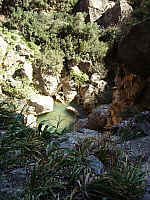 2portella_IMGP0623.JPG 2portella_IMGP0623.JPG